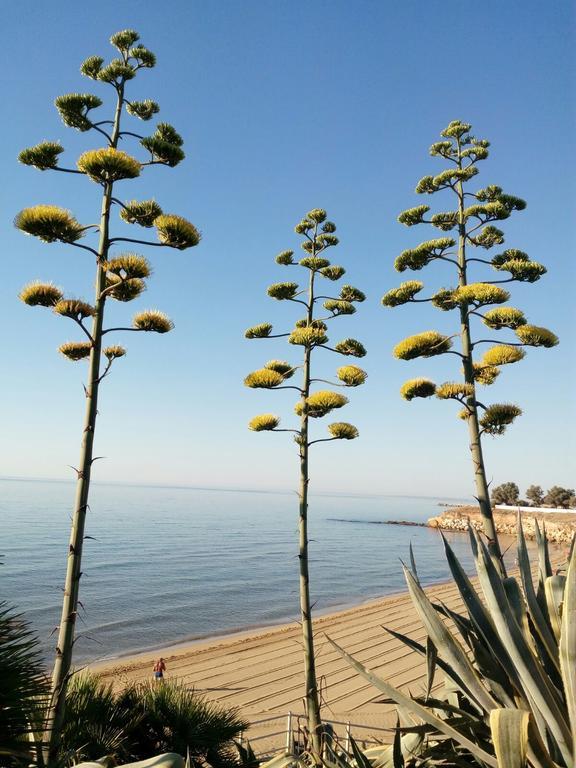 Villa Del Mar Avola Exteriér fotografie